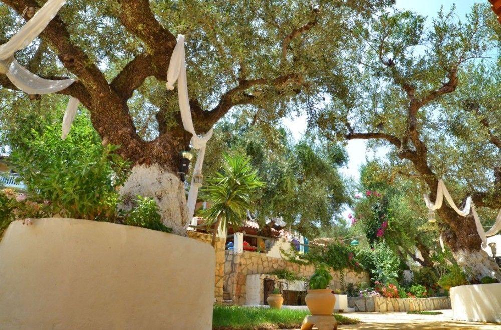 Sole E Mare Apartments Tsilivi  Bagian luar foto