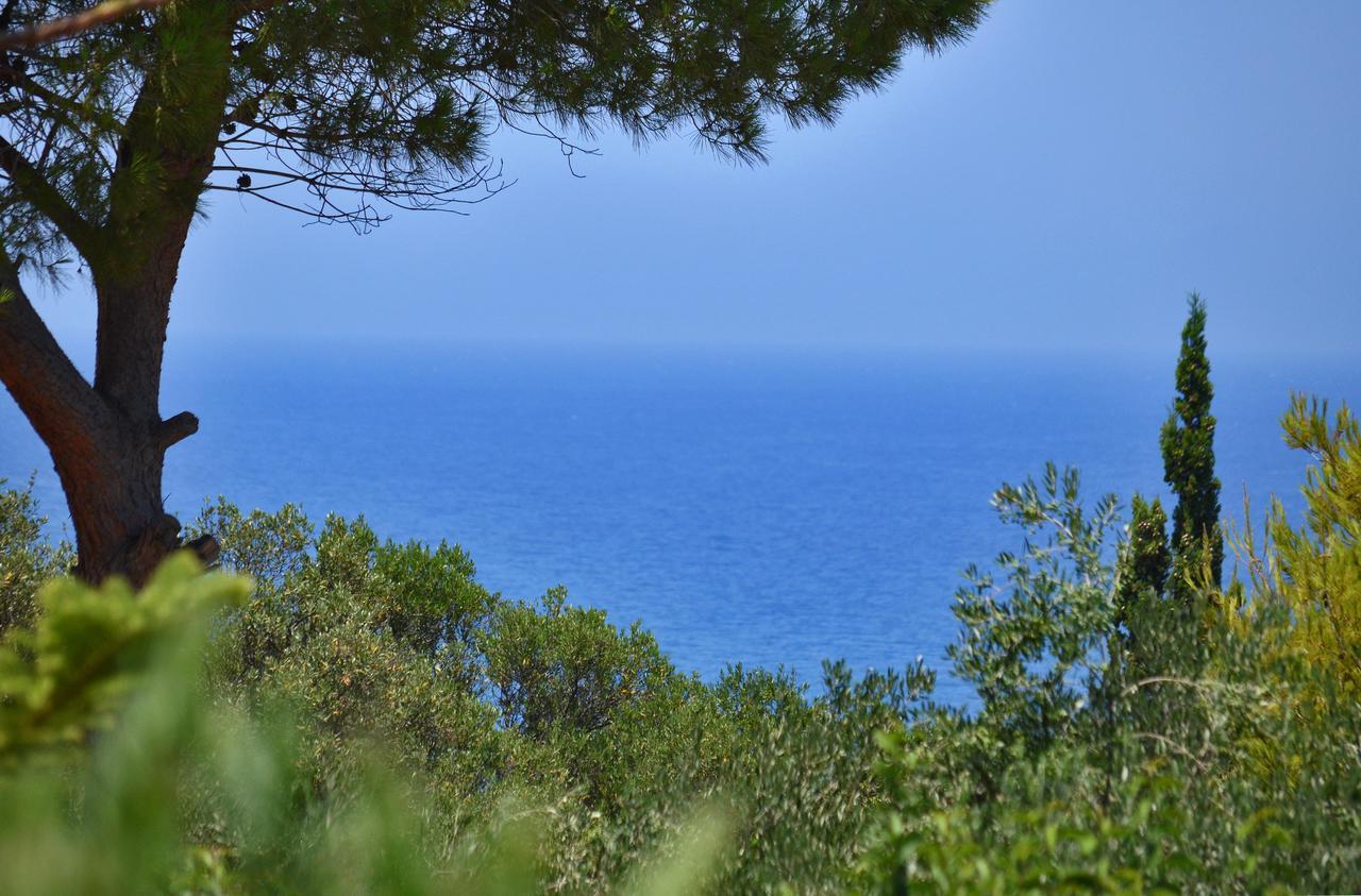 Sole E Mare Apartments Tsilivi  Bagian luar foto