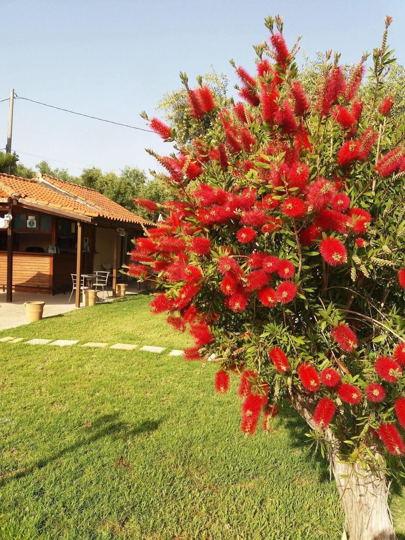 Sole E Mare Apartments Tsilivi  Bagian luar foto