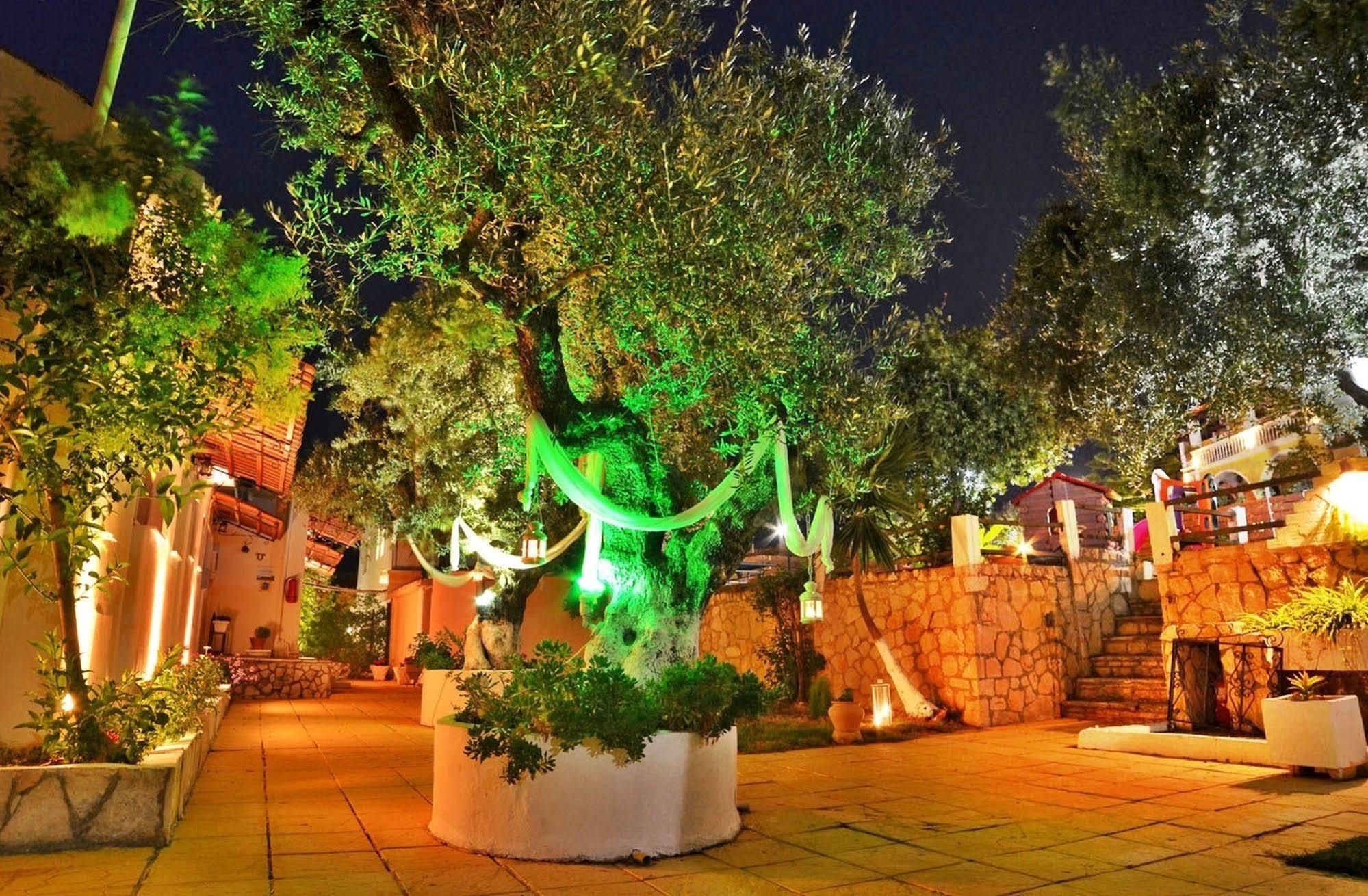 Sole E Mare Apartments Tsilivi  Bagian luar foto